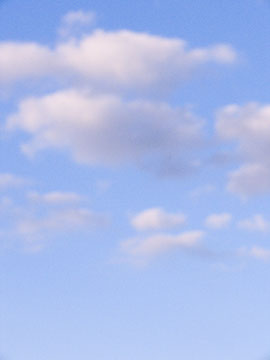 Dreams - Vicki Dodge